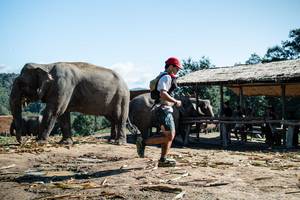 BIB: 
                            <button type="button" onclick="openModal(22422960)" class="btn btn-primary btn-sm float-right btn-popup" data-toggle="modal" data-target=".modal-high-quality">
                        <i class="fas fa-shopping-cart"></i> Add to Cart
                    </button>
                                            <button type="button" onclick="isThisMe(22422960, true)" class="btn btn-success btn-sm float-right btn-popup btn-isme hidden" data-toggle="tooltip" data-placement="bottom" title="นี่คือรูปของคุณใช่ไหม คลิกที่นี่เพื่อเอาเข้าอัลบั้ม">
                        <i class="fas fa-plus"></i> Add to album
                    </button>
                    <button type="button" onclick="isThisMe(22422960, false)" class="btn btn-warning btn-sm float-right btn-popup btn-isnotme hidden">
                        <i class="fas fa-ban"></i> Remove from album
                    </button>